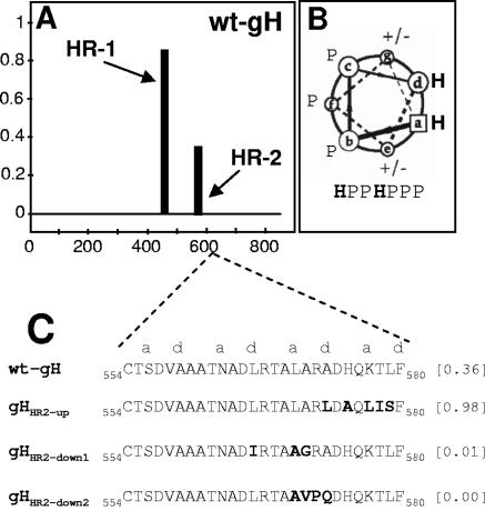 FIG. 1.