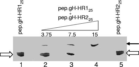 FIG. 5.