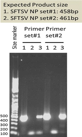 Fig. 5