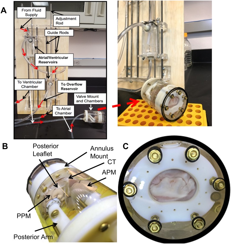 Fig 13