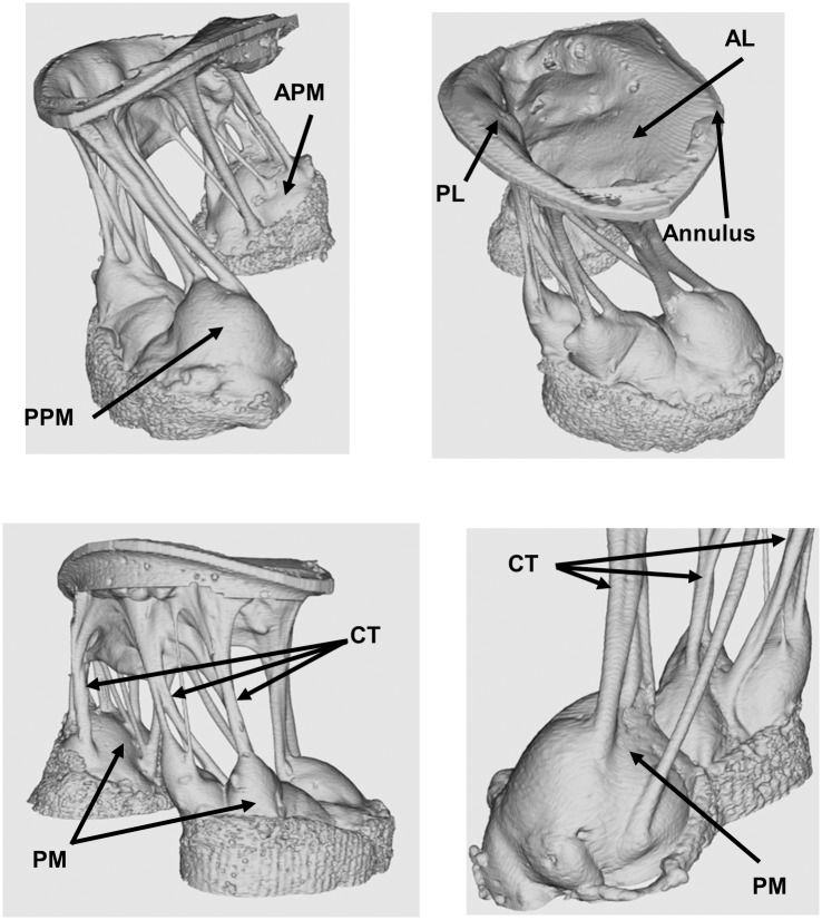 Fig 12