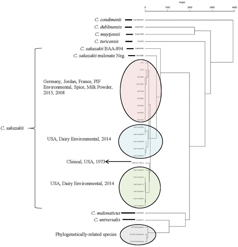 Fig. 2