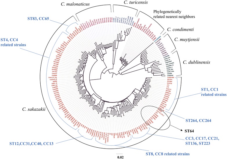 Fig. 1