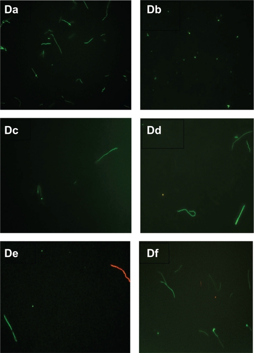 Figure 3D