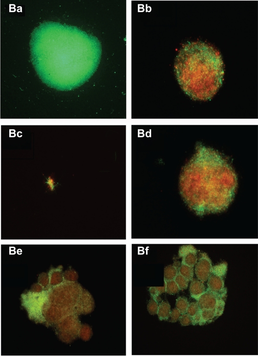 Figure 4B