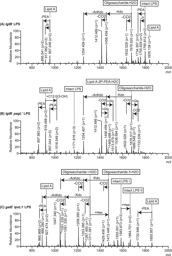 FIGURE 3.