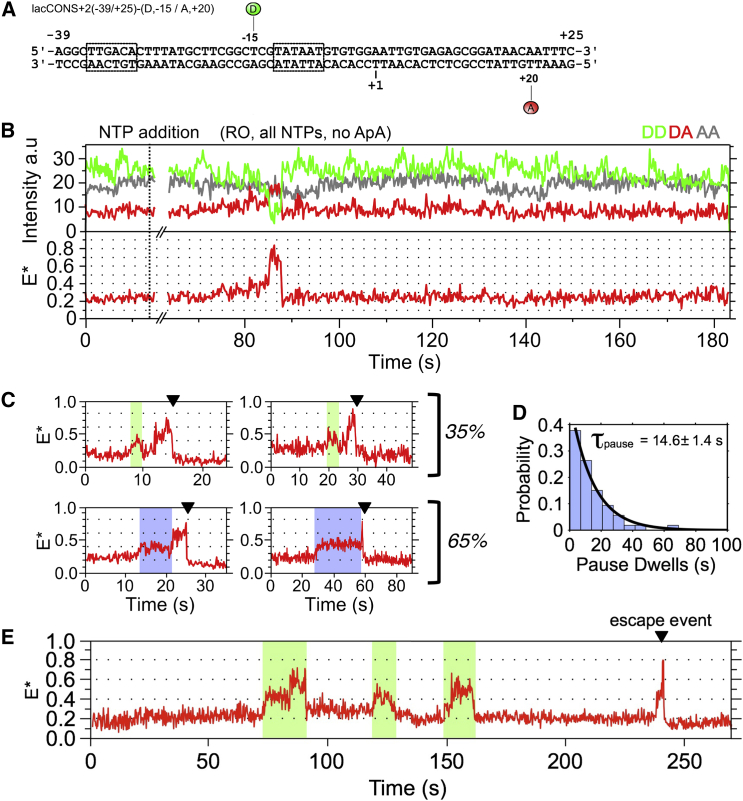 Figure 6