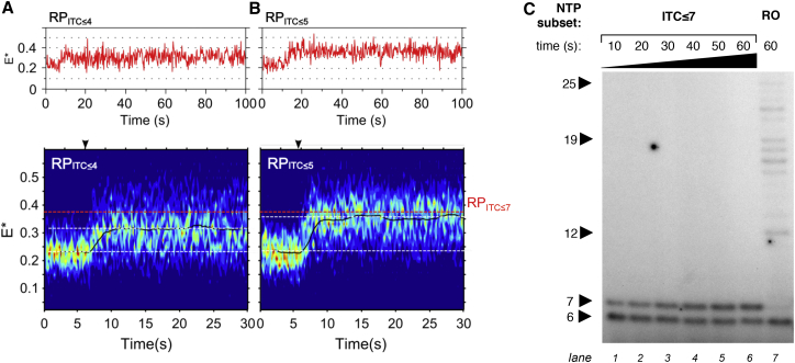 Figure 2