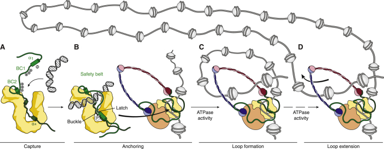 Figure 7