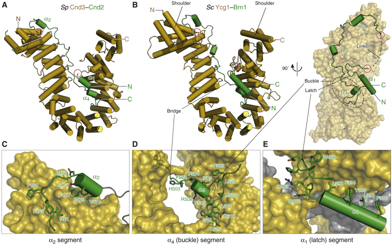 Figure 2