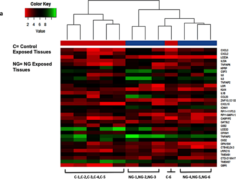 Figure 4: