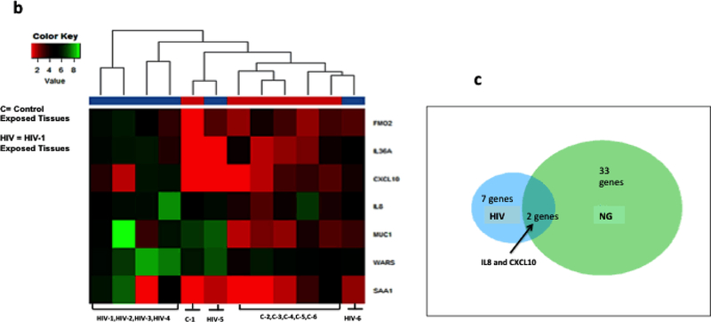 Figure 4: