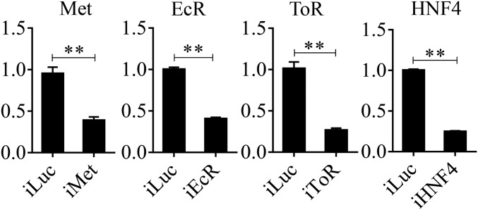 Fig. S8.