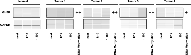 Figure 7