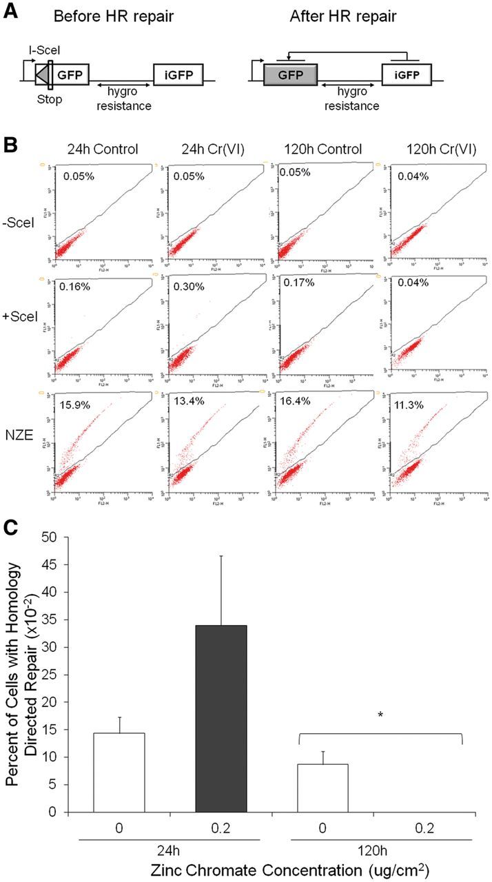 FIG. 6