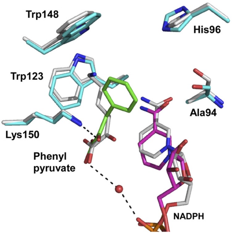 FIGURE 4