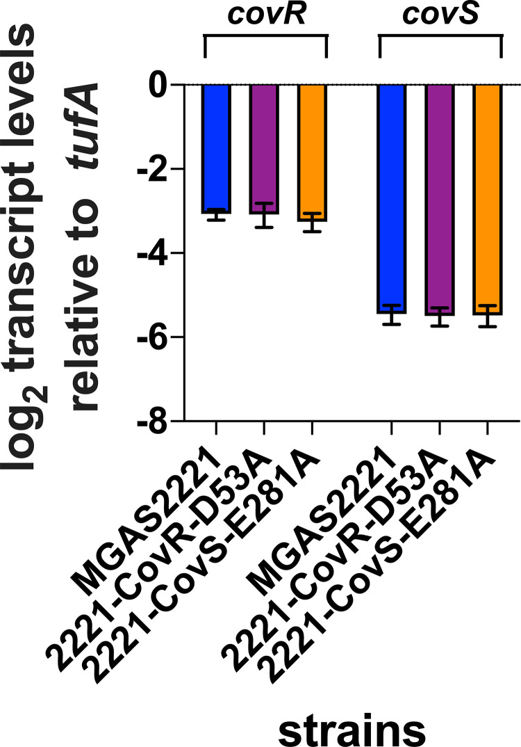 Fig 6