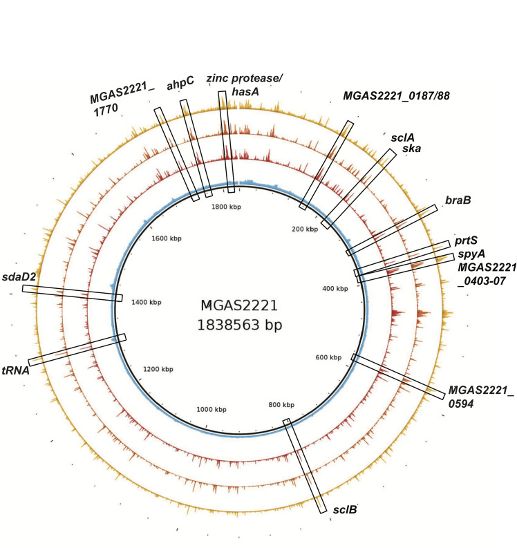 Fig 2