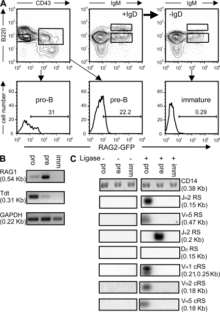 Figure 3.