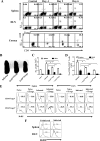 FIG. 8.