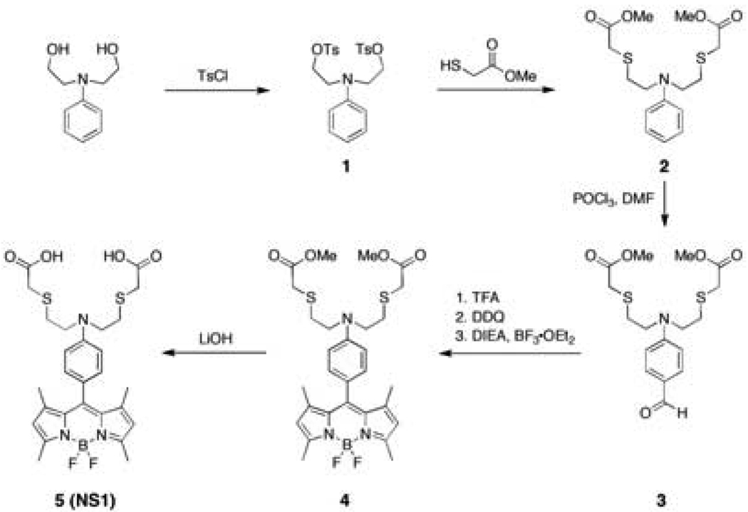 Scheme 1