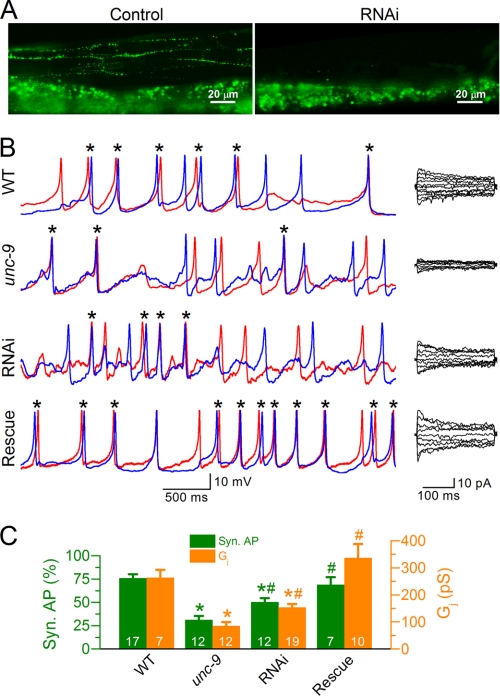 FIGURE 4.