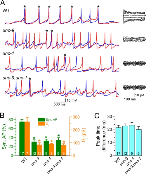 FIGURE 2.