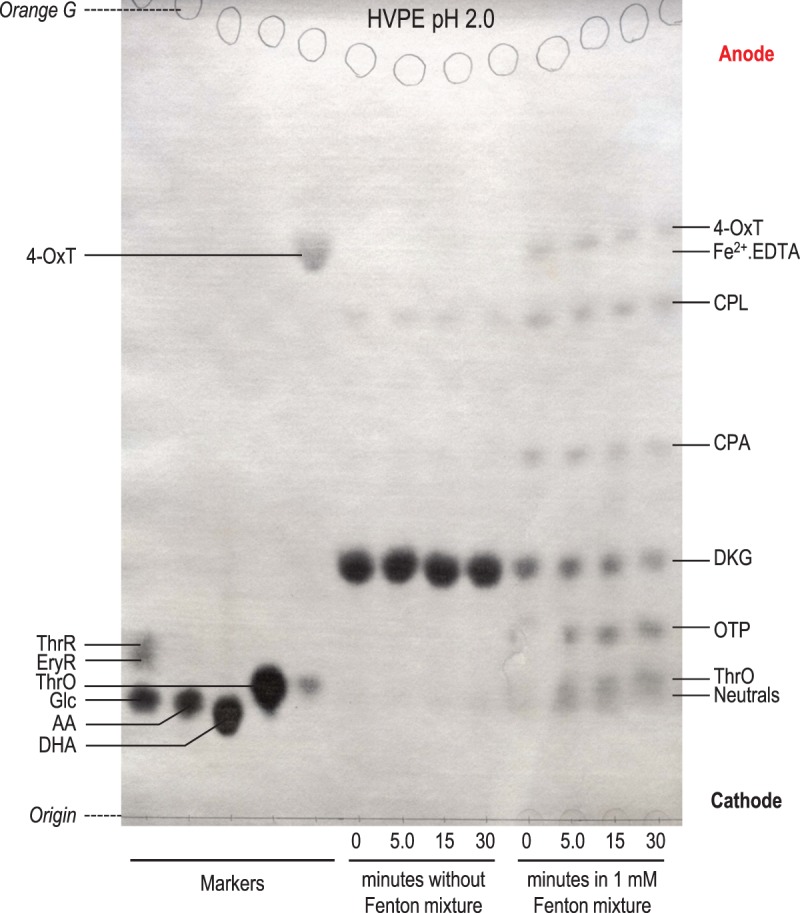 Figure 7.