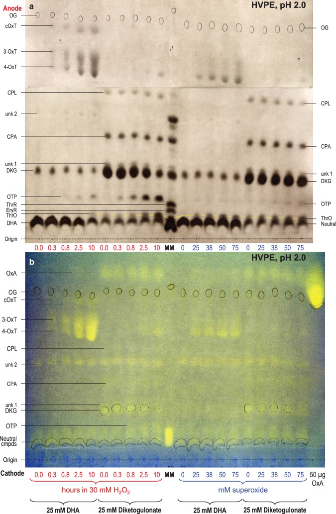 Figure 4.