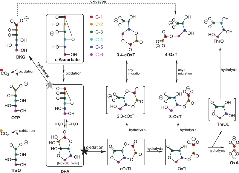 Figure 1.