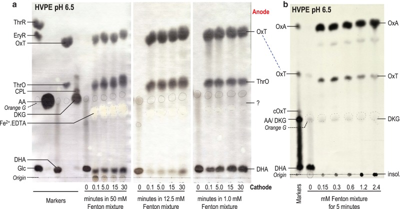 Figure 6.