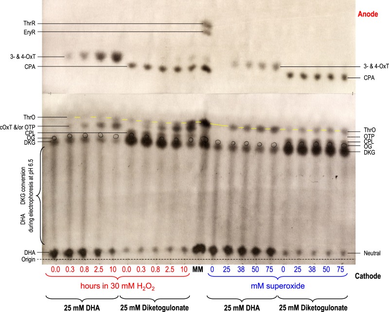 Figure 5.