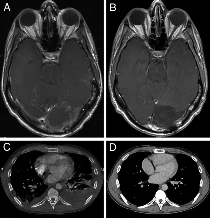 Fig. 1.