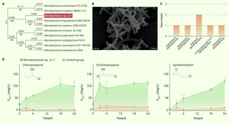 Figure 6