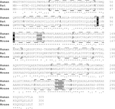 Fig. 13.