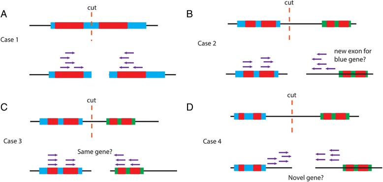 Fig. 7