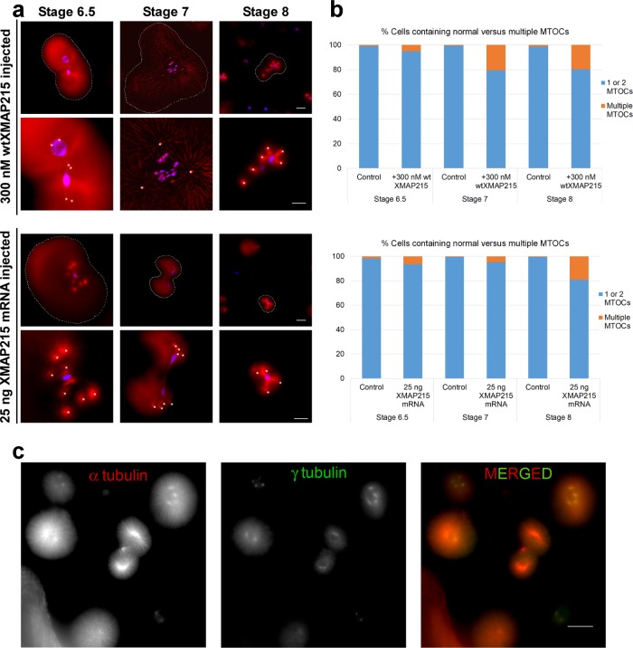 FIGURE 3: