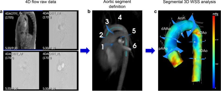 Fig. 1