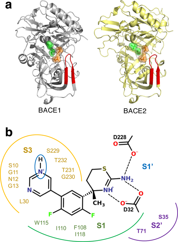 Figure 1: