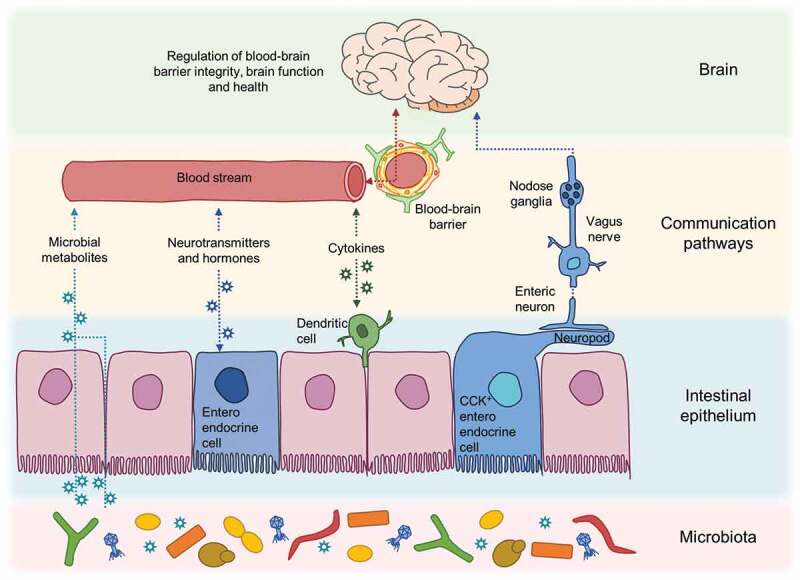 Figure 2.