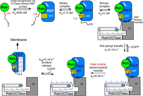 FIGURE 6.