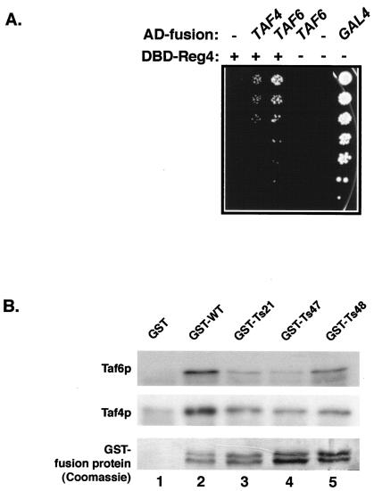 FIG. 6.