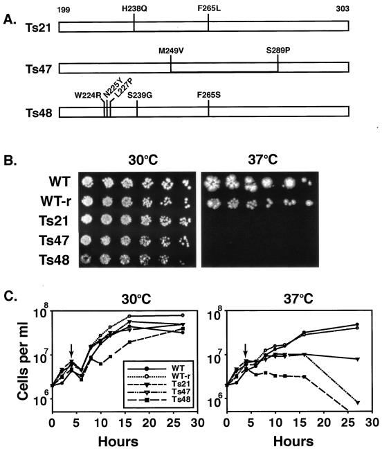 FIG. 3.