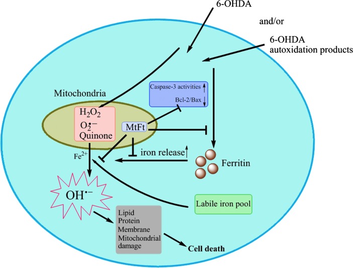 FIG. 6.