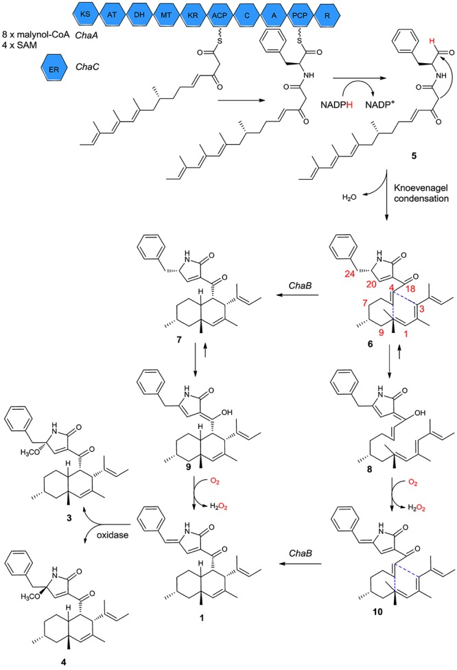 FIGURE 6