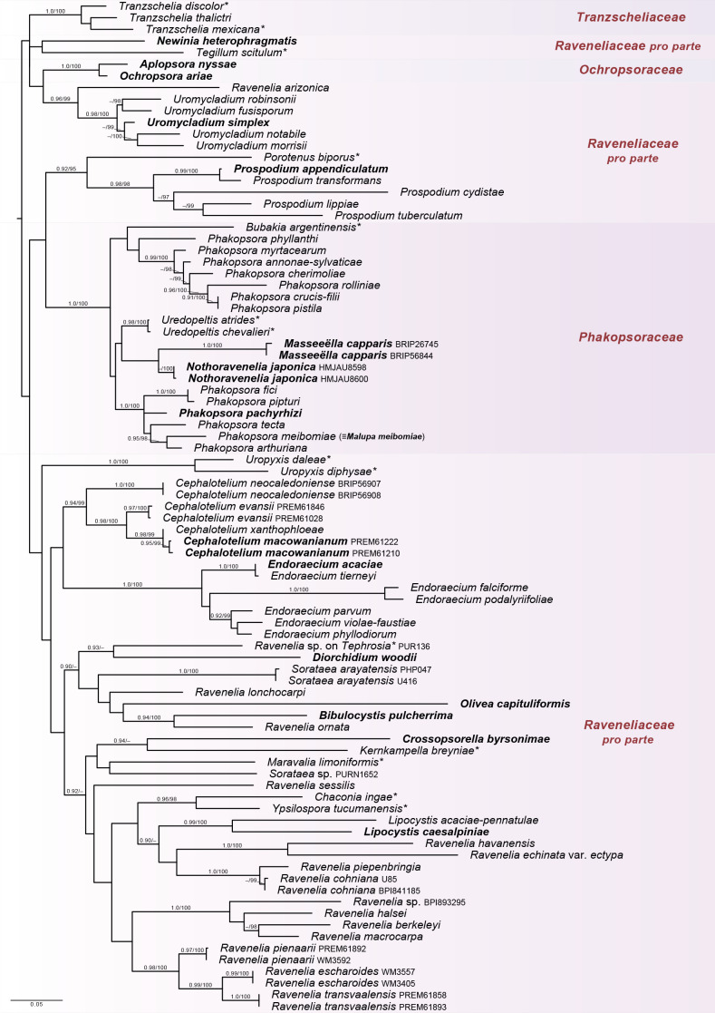 Fig. 3.