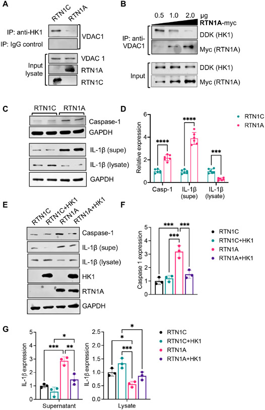 Figure 9: