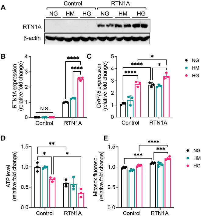 Figure 6: