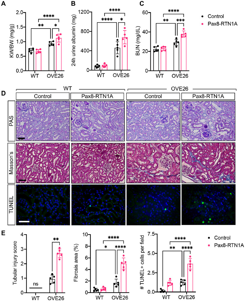 Figure 4: