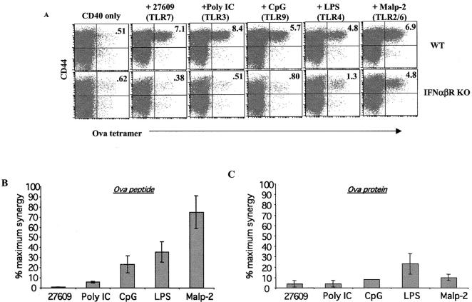 Figure 6.